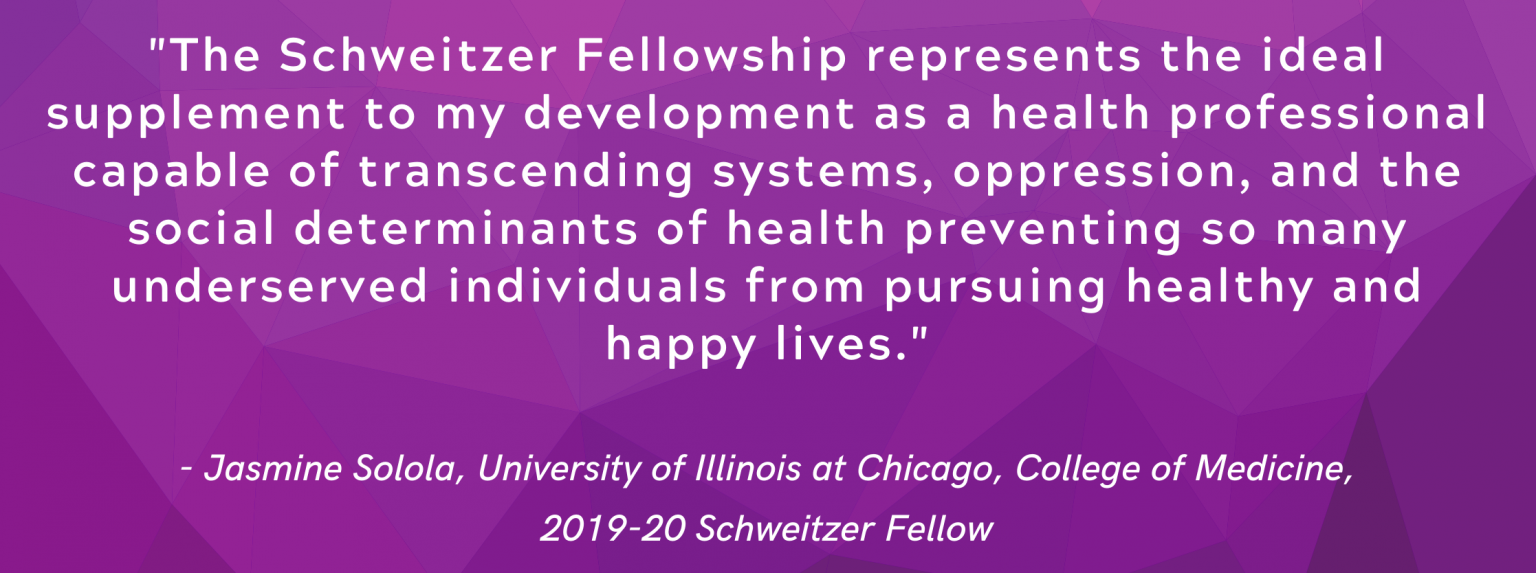 Chicago Area Schweitzer Fellows Program Health & Medicine Policy